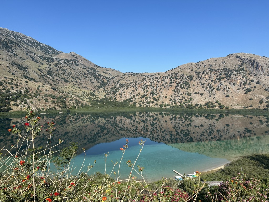 ADHD Therapy for Adults