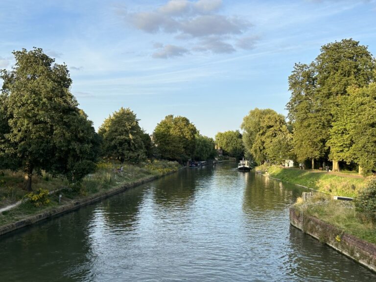 Sun Psychological IMG6