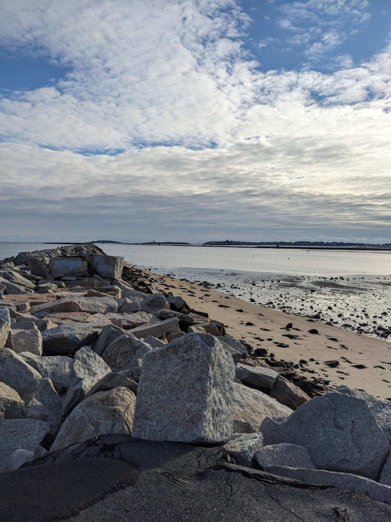 Executive Functioning Therapy